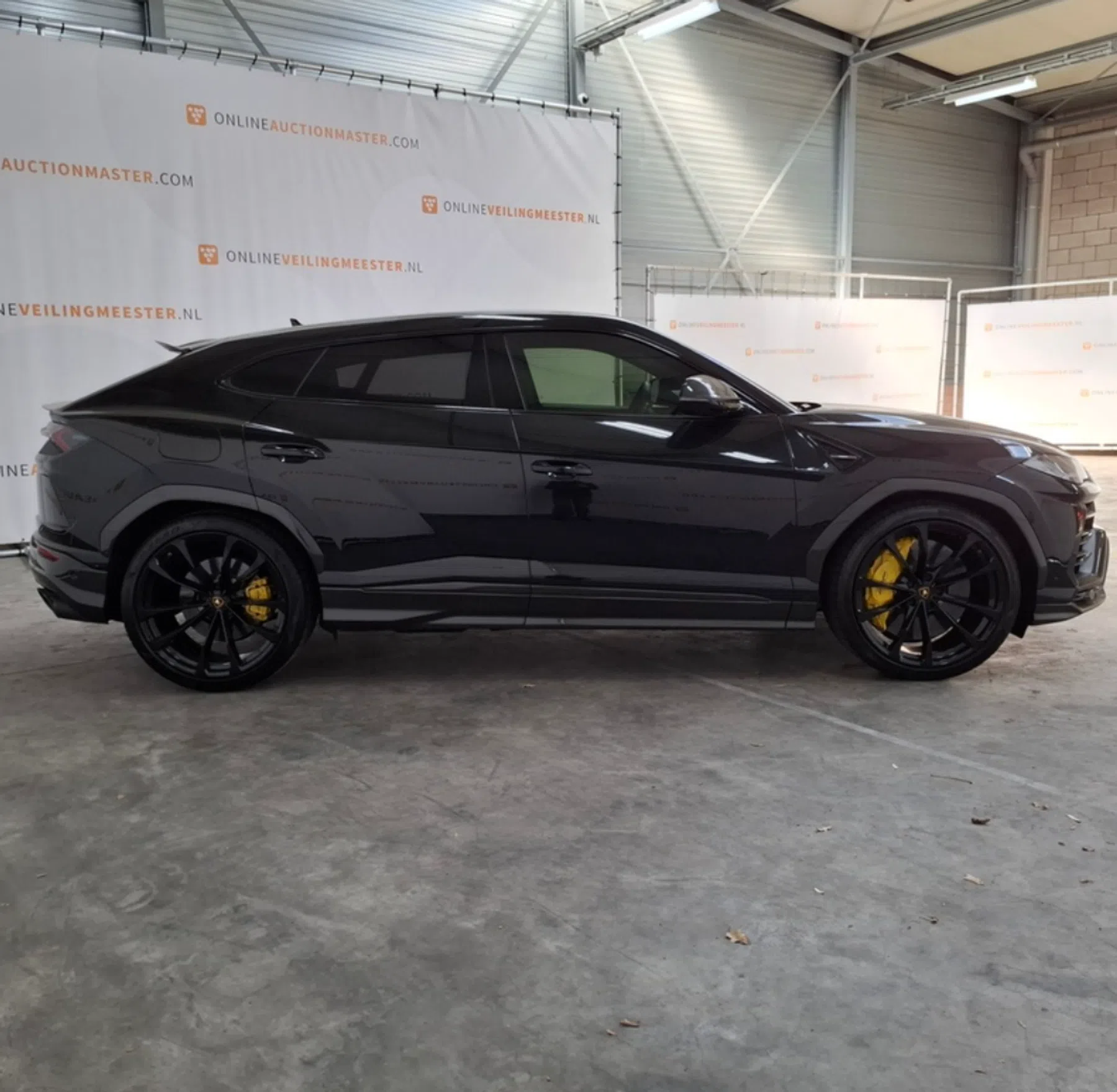 Lamborghini